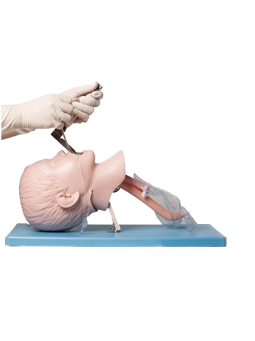 ADVANCED CHILD TRACHEAL INTUBATION MODEL 